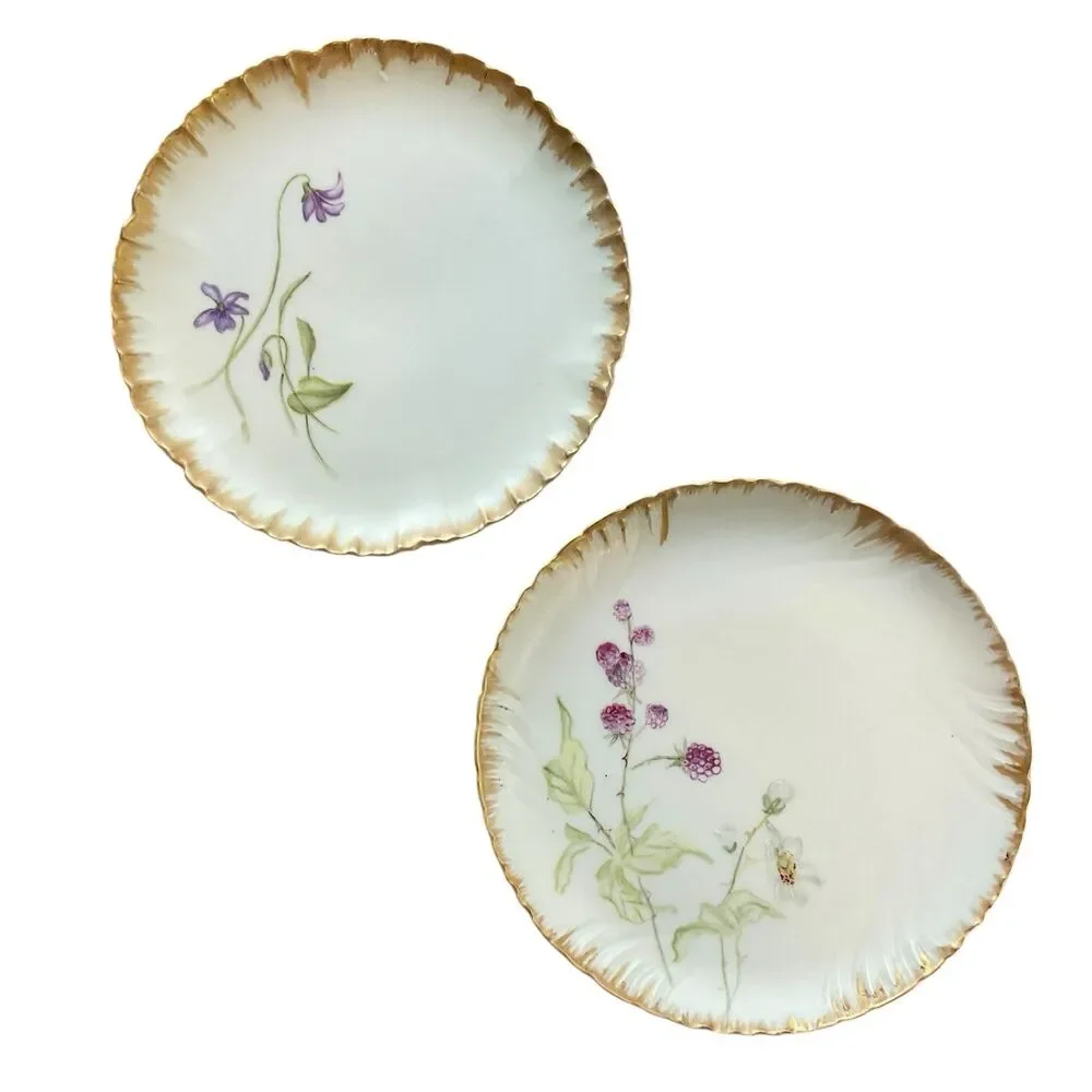 Haviland 1870-1890 Decorative Floral Plates France 7” Set of 2